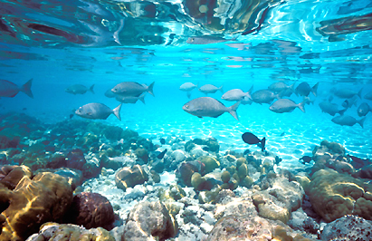 Vabbinfaru Maldives