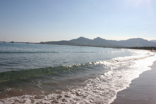 Calvi