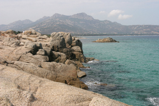 Calvi